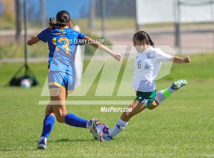 Thumbnail 3 in Provo @ Orem photogallery.