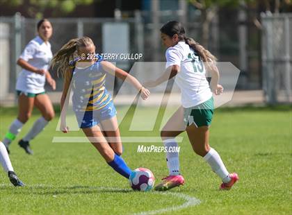 Thumbnail 1 in Provo @ Orem photogallery.