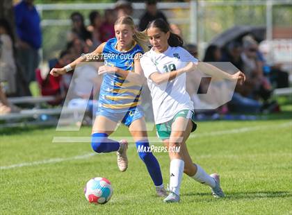 Thumbnail 3 in Provo @ Orem photogallery.