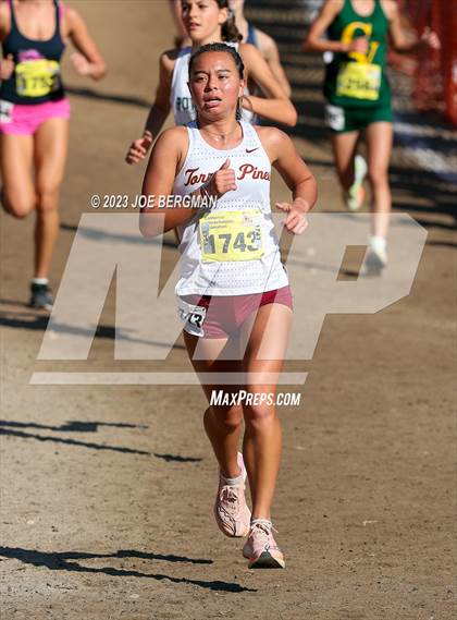 Thumbnail 1 in CIF Division 1 Championships photogallery.