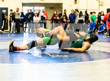 Thumbnail 2 in CIF SS Northern Regional Wrestling Championships photogallery.