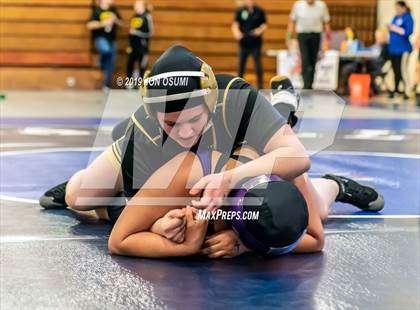 Thumbnail 1 in CIF SS Northern Regional Wrestling Championships photogallery.