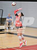 Photo from the gallery "O'Connor @ Boulder Creek"