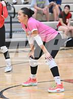 Photo from the gallery "O'Connor @ Boulder Creek"