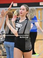 Photo from the gallery "O'Connor @ Boulder Creek"