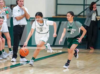 Thumbnail 1 in Westmoor @ Miramonte (Miramonte Showcase) photogallery.