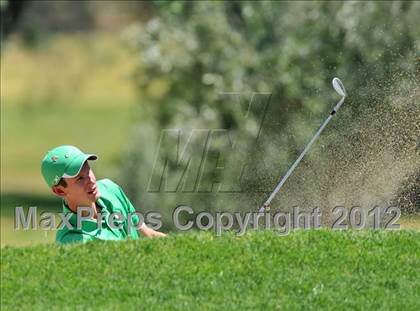 Thumbnail 2 in CIF Southern Section Golf Championships photogallery.