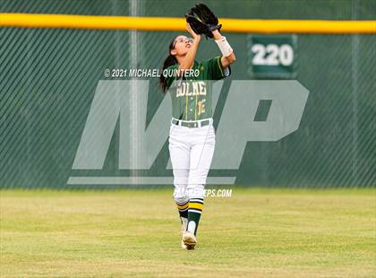 Thumbnail 2 in Harlan @ Holmes photogallery.