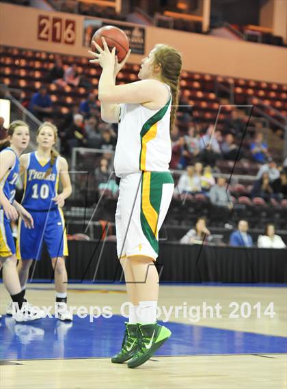 Thumbnail 1 in Gilbert Christian vs. St. David (AIA D4 Final) photogallery.