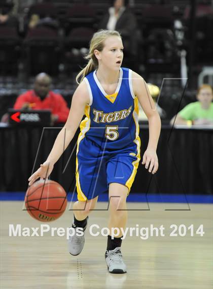 Thumbnail 1 in Gilbert Christian vs. St. David (AIA D4 Final) photogallery.