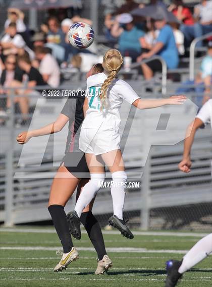Thumbnail 3 in Farmington vs. Lone Peak (UHSAA 6A Semifinal) photogallery.