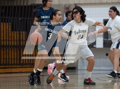 Thumbnail 1 in JV: Emerald @ Freedom photogallery.