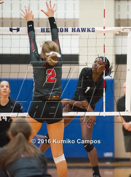 Thumbnail 2 in Lovejoy @ Hebron photogallery.