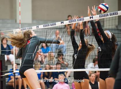 Thumbnail 3 in Lovejoy @ Hebron photogallery.