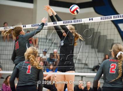 Thumbnail 3 in Lovejoy @ Hebron photogallery.