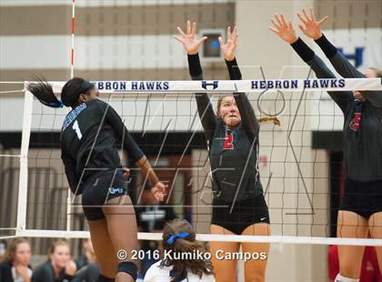 Thumbnail 2 in Lovejoy @ Hebron photogallery.