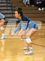 Photo from the gallery "Regina vs St. Mary's Prep (CHSL Cardinal Quarterfinal)"