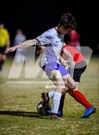 Photo from the gallery "Mountain Home @ Cave City"