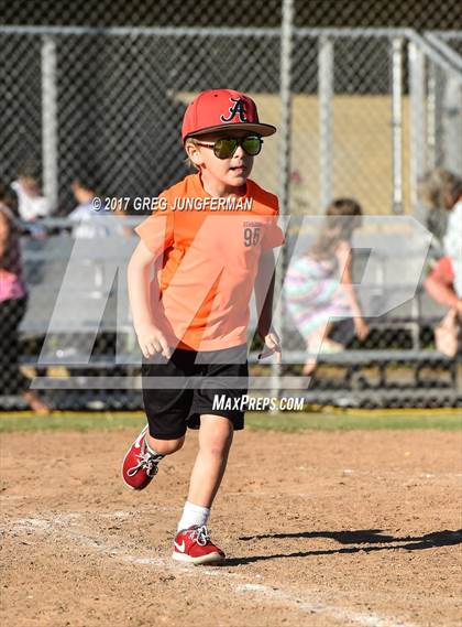 Thumbnail 1 in Arroyo vs. Casa Grande (CIF NCS D2 Final) photogallery.