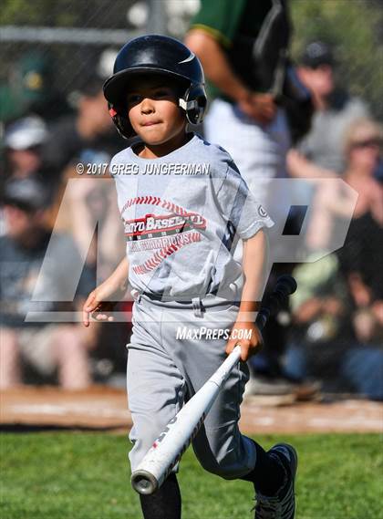 Thumbnail 3 in Arroyo vs. Casa Grande (CIF NCS D2 Final) photogallery.