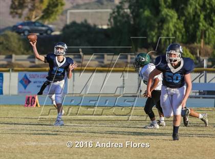 Thumbnail 2 in Pacifica @ Camarillo photogallery.
