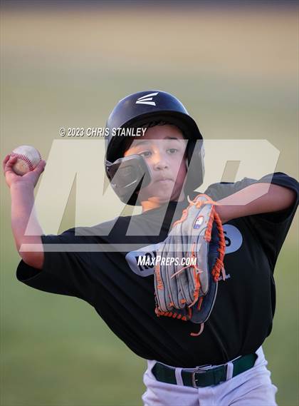 Thumbnail 2 in Kofa @ Youngker photogallery.