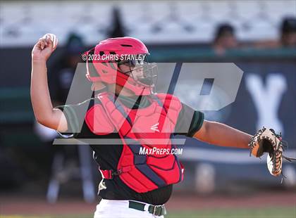 Thumbnail 2 in Kofa @ Youngker photogallery.