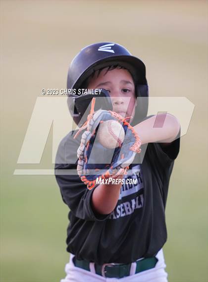 Thumbnail 3 in Kofa @ Youngker photogallery.