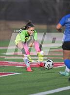 Photo from the gallery "Elgin @ Georgetown"