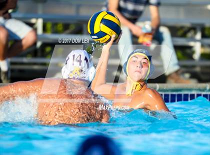 Thumbnail 1 in Armijo @ Napa photogallery.