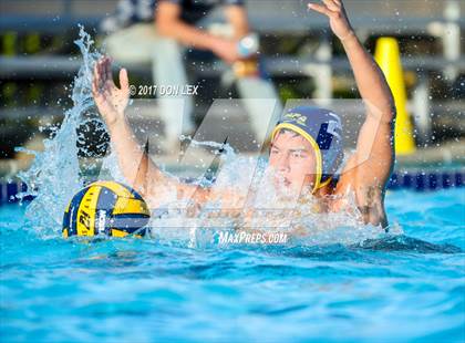 Thumbnail 2 in Armijo @ Napa photogallery.