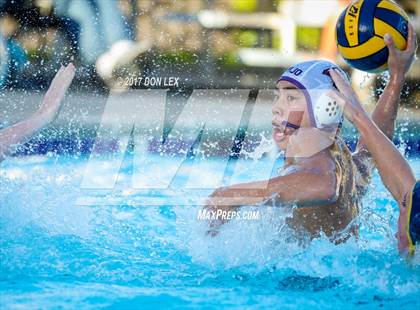 Thumbnail 2 in Armijo @ Napa photogallery.