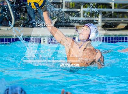 Thumbnail 3 in Armijo @ Napa photogallery.