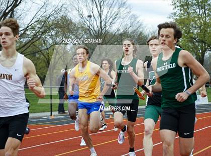 Thumbnail 1 in Carmel Distance Showcase photogallery.
