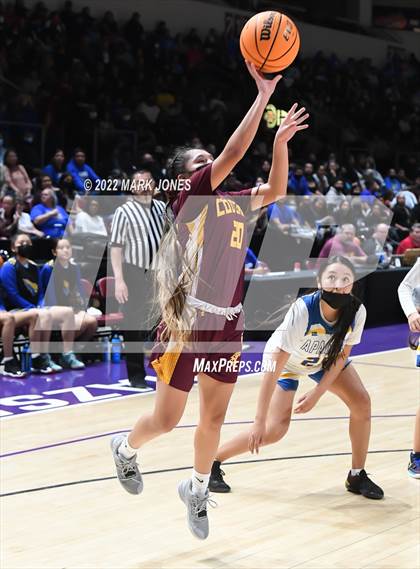 Thumbnail 3 in Rock Point vs. Fort Thomas (AIA 1A Final)   photogallery.