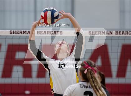 Thumbnail 3 in Denison @ Sherman photogallery.