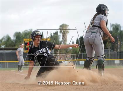 Thumbnail 1 in Brea Olinda @ El Dorado photogallery.
