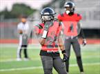 Photo from the gallery "Satellite @ New Smyrna Beach"