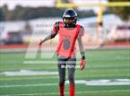 Photo from the gallery "Satellite @ New Smyrna Beach"