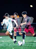 Photo from the gallery "Sheldon @ Laguna Creek"