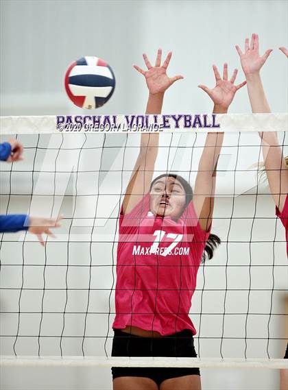 Thumbnail 1 in North Crowley vs Paschal photogallery.
