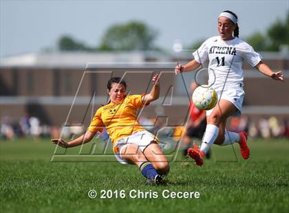 Thumbnail 3 in Spencerport @ Greece Athena photogallery.