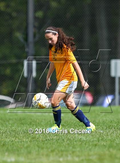 Thumbnail 2 in Spencerport @ Greece Athena photogallery.