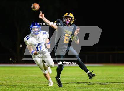 Thumbnail 3 in Mesquite @ Gilbert (Homecoming) photogallery.