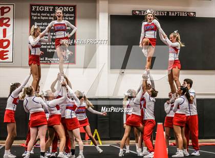 Thumbnail 1 in Best of the Nest Cheer photogallery.