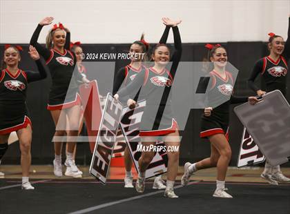 Thumbnail 2 in Best of the Nest Cheer photogallery.