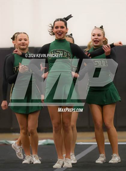 Thumbnail 2 in Best of the Nest Cheer photogallery.