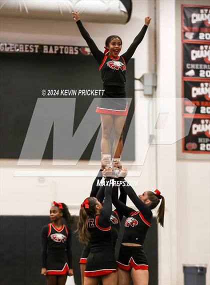 Thumbnail 3 in Best of the Nest Cheer photogallery.