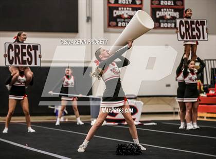 Thumbnail 3 in Best of the Nest Cheer photogallery.