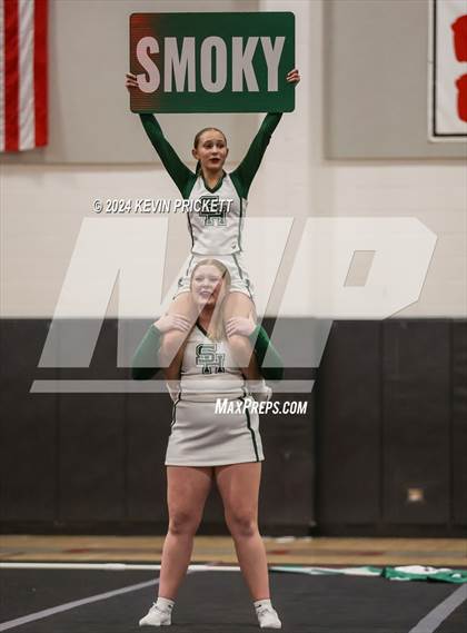 Thumbnail 3 in Best of the Nest Cheer photogallery.